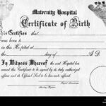 acte-de-naissance-ancien-sur-fond-blanc