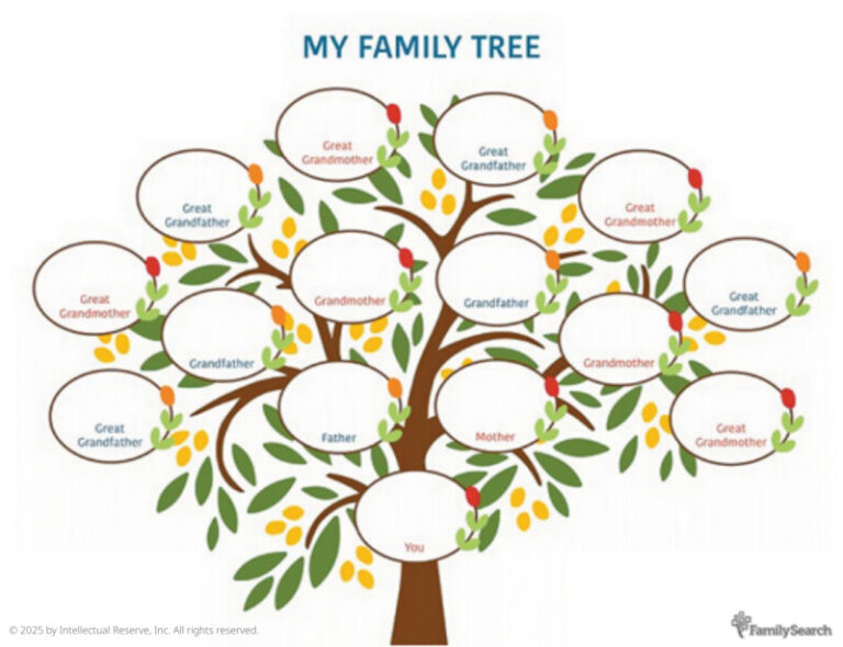 Comment Créer Un Tableau Avec Prénoms Pour Organiser Sa Famille