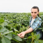 Quelles compétences pour devenir expert agricole et foncier expert-agricole-analysant-des-cultures-sur-le-terrain