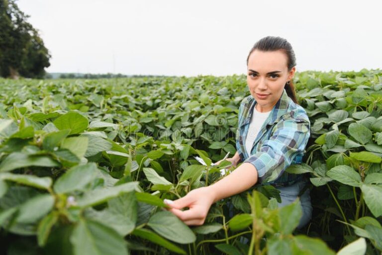 Quelles compétences pour devenir expert agricole et foncier 1 Quelles compétences pour devenir expert agricole et foncier