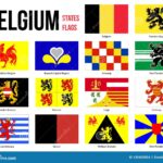 formulaire-administratif-belge-avec-drapeau-national