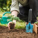 personne-jardinant-avec-outils-et-plantes-vertes