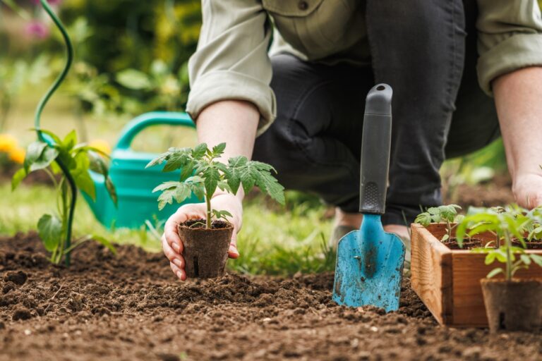 Quels Travaux de Jardinage Donnent Droit Au Crédit d’Impôt