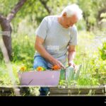 Quels Avantages Offre Le Crédit D'impôt Pour Le Jardinage Des Retraités retraite-jardinant-heureux-dans-un-jardin-verdoyant