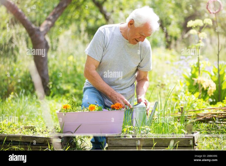 Quels Avantages Offre Le Crédit D&rsquo;impôt Pour Le Jardinage Des Retraités