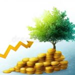 Qu'est-ce Qu'une Assurance Vie Et Quelle Est Son Utilité un-arbre-croissant-avec-des-pieces-dor